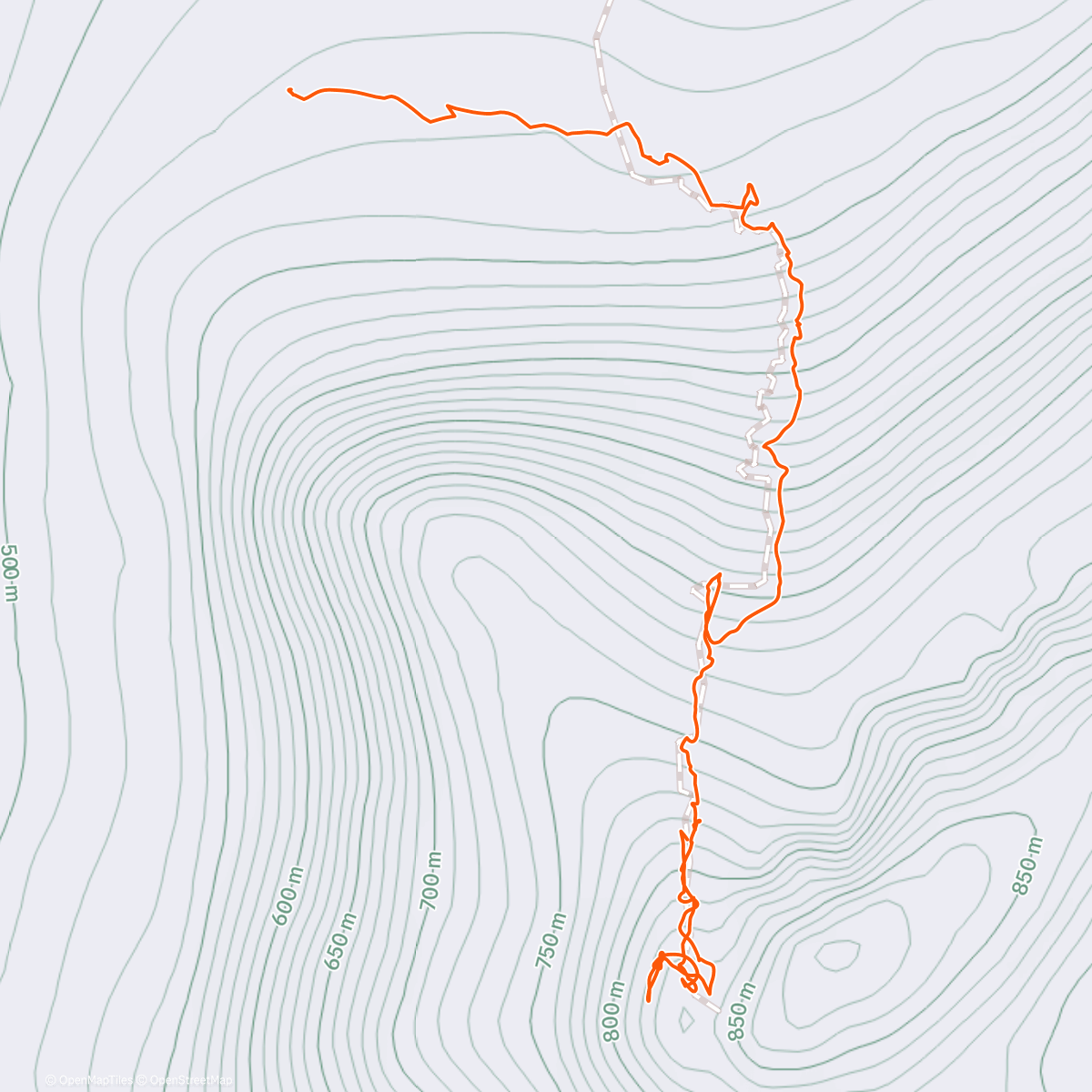 Карта физической активности (A good start to end the year)