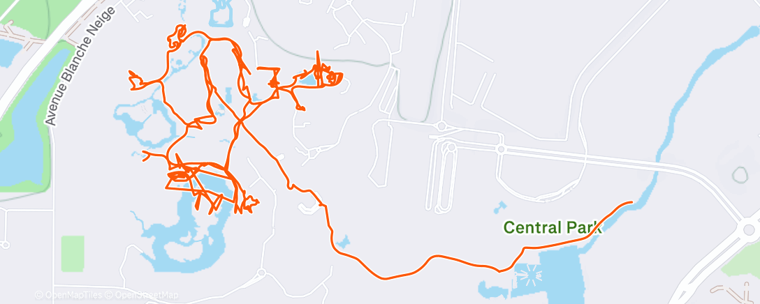 Карта физической активности (Disney🐭)