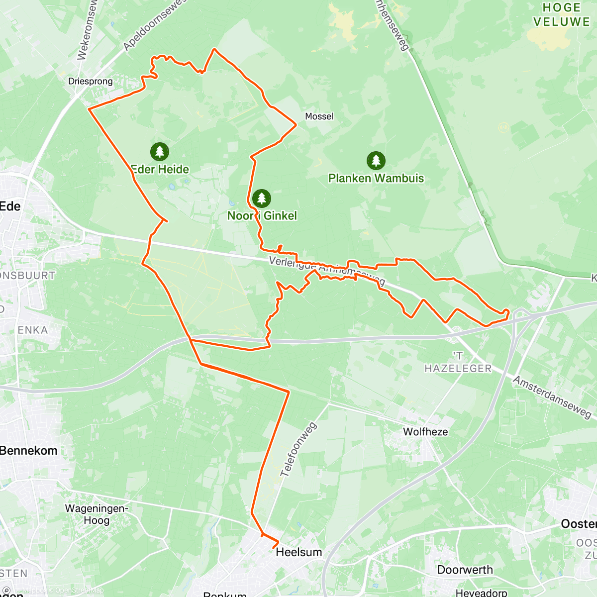 Map of the activity, Got caught in the freezing rain on mtb tracks !