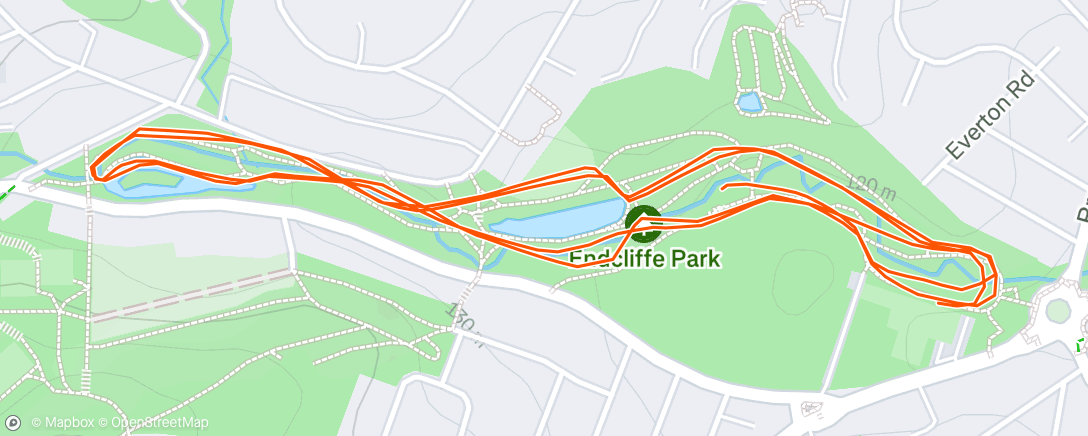 Map of the activity, Morning Run