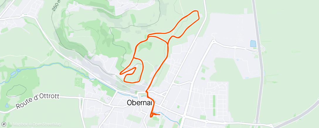 Map of the activity, Course à pied Obernai