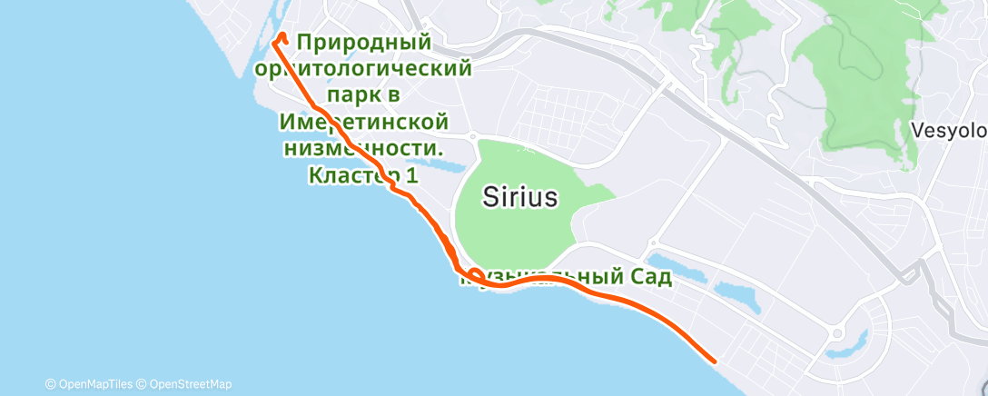 Map of the activity, Утренний забег