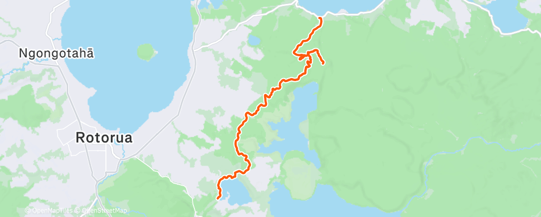 Карта физической активности (Lunch Run)