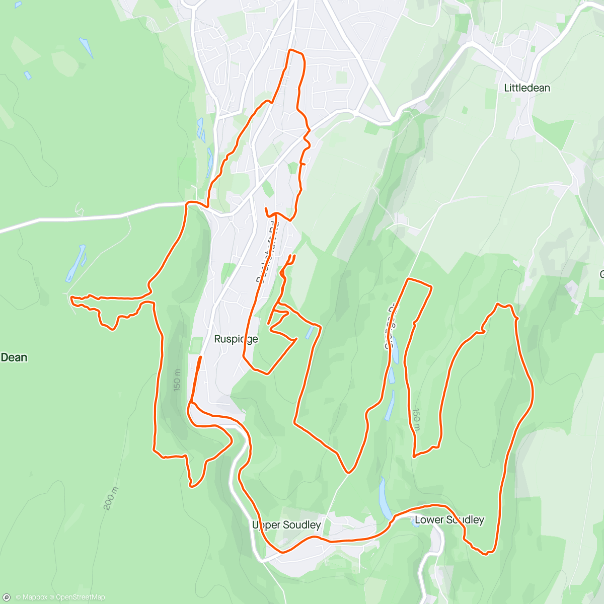 Map of the activity, Birthday half mara in the Forest 😍