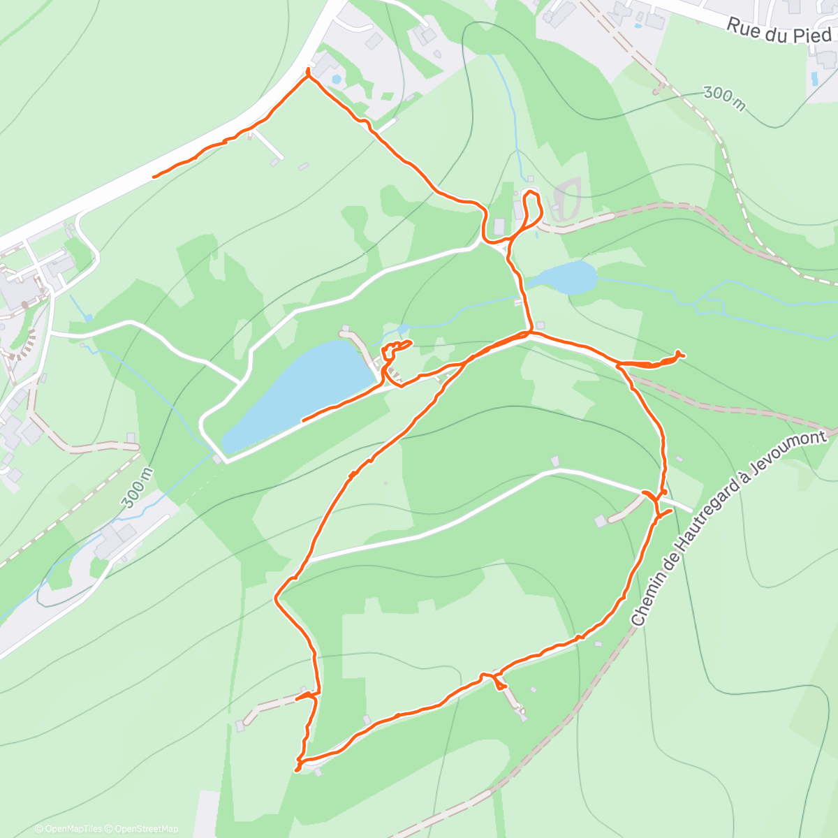 Карта физической активности (Forestia)