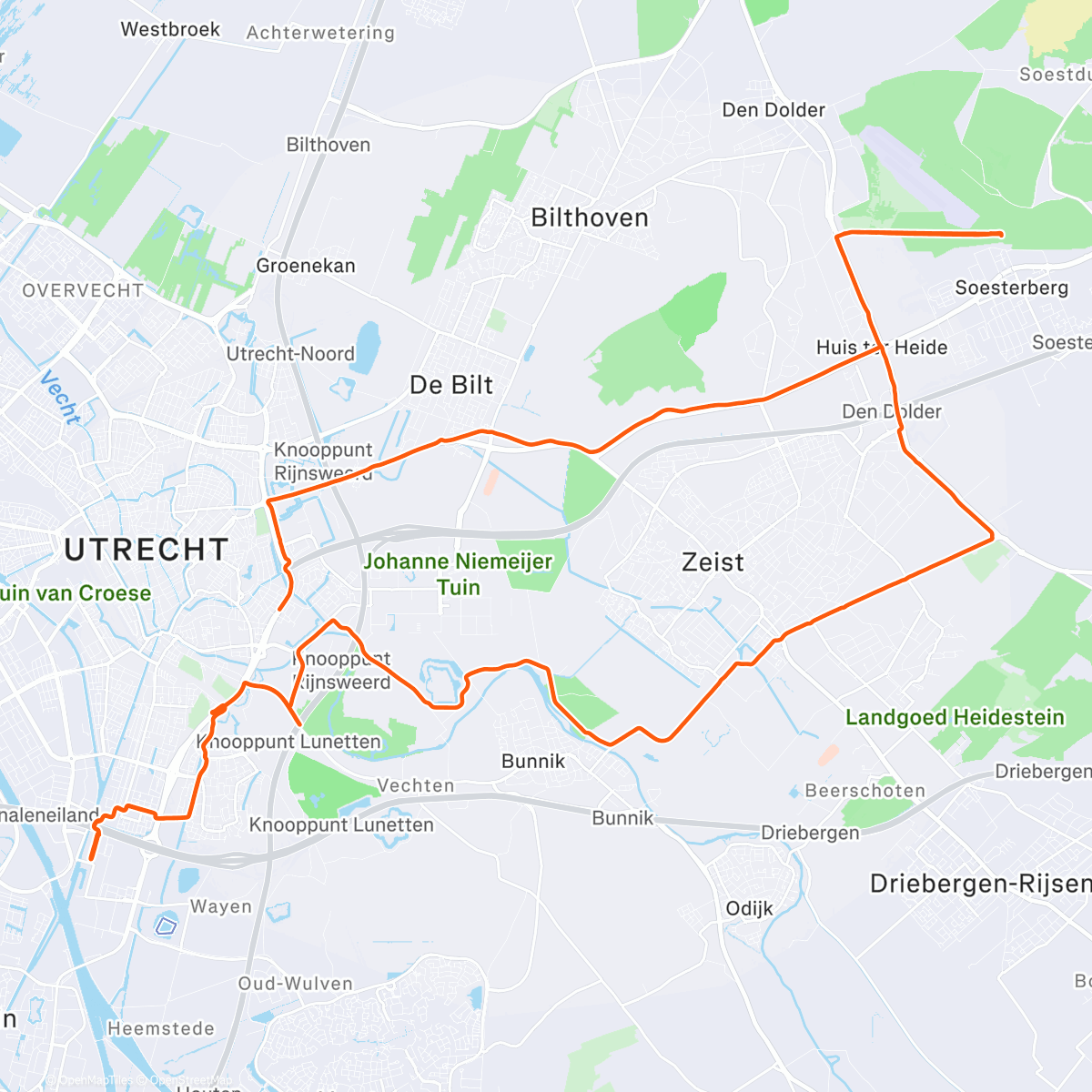 Map of the activity, ADHD