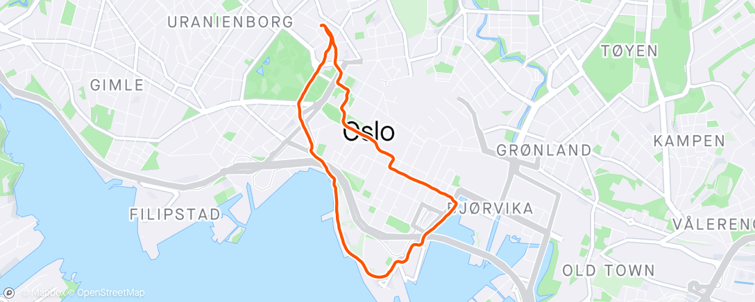 Map of the activity, Evening Run