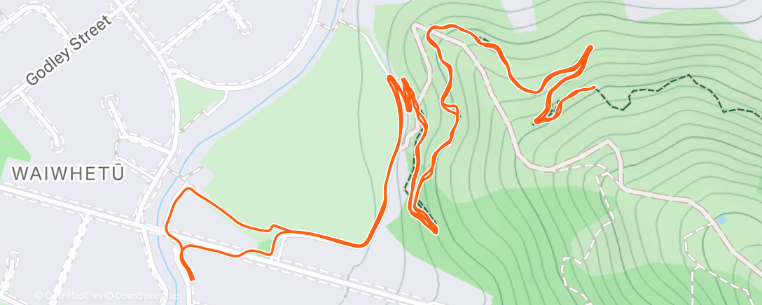 Карта физической активности (Partial riser)