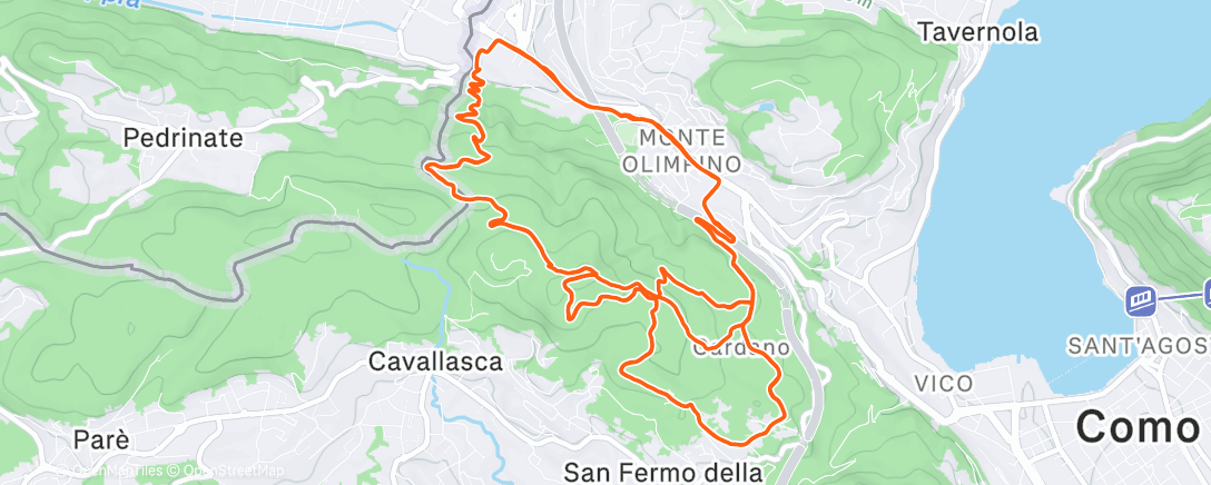 Map of the activity, Spina