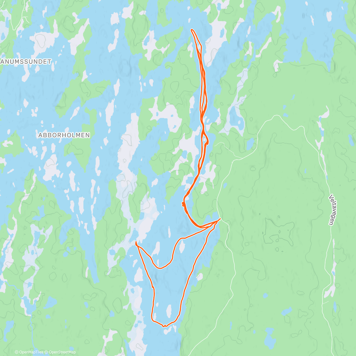 Карта физической активности (Magic 🇳🇴⛸️🇳🇴⛸️)