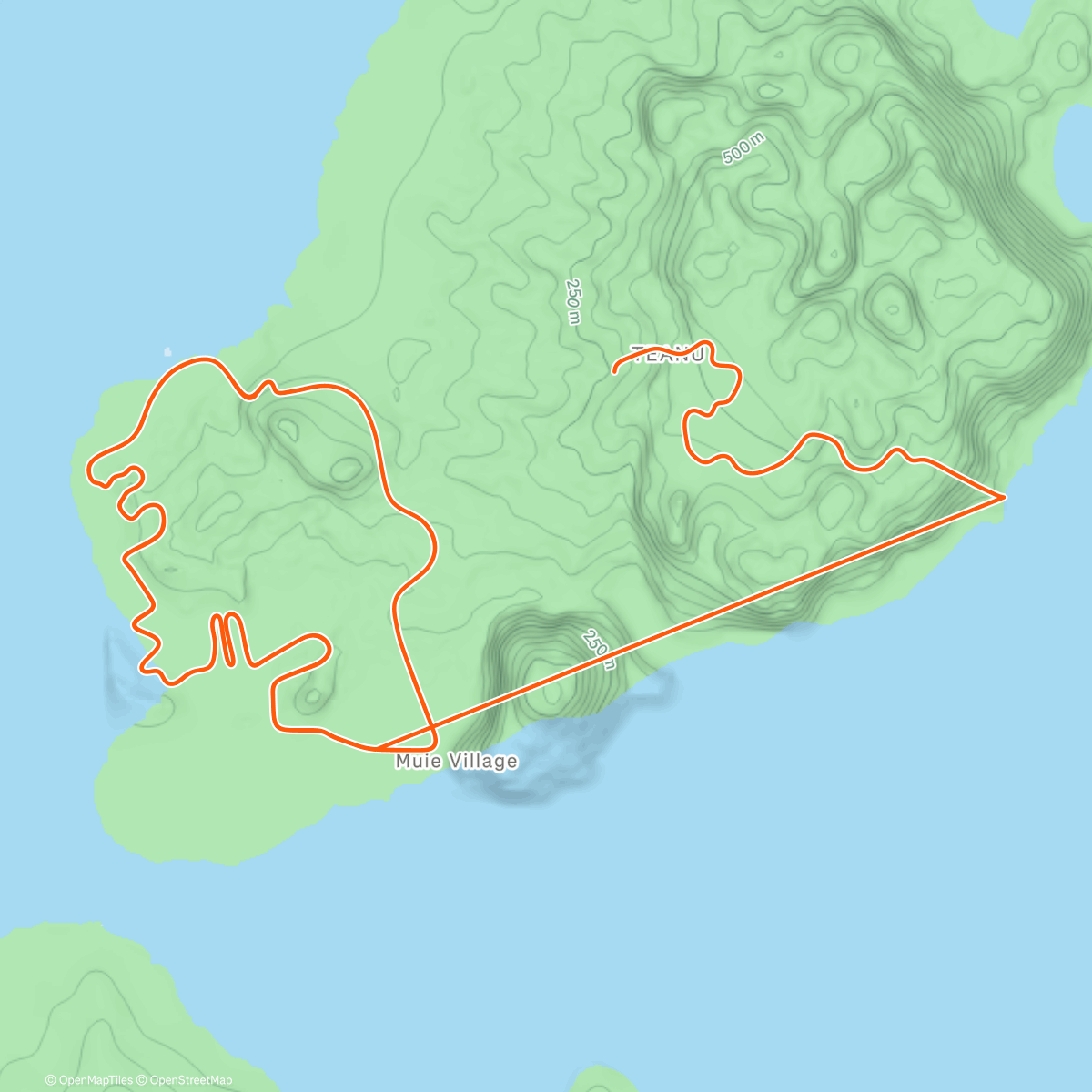 Map of the activity, Zwift - Tempus Fugit in Watopia