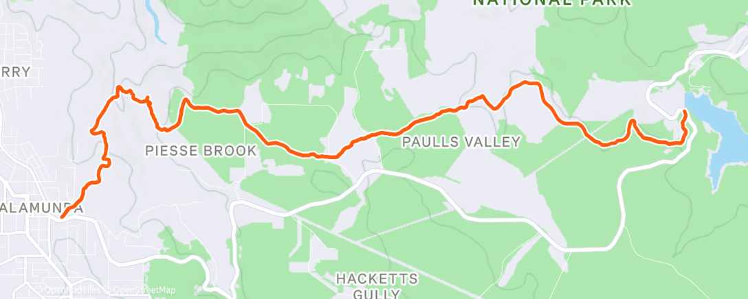Map of the activity, Morning Trail Run