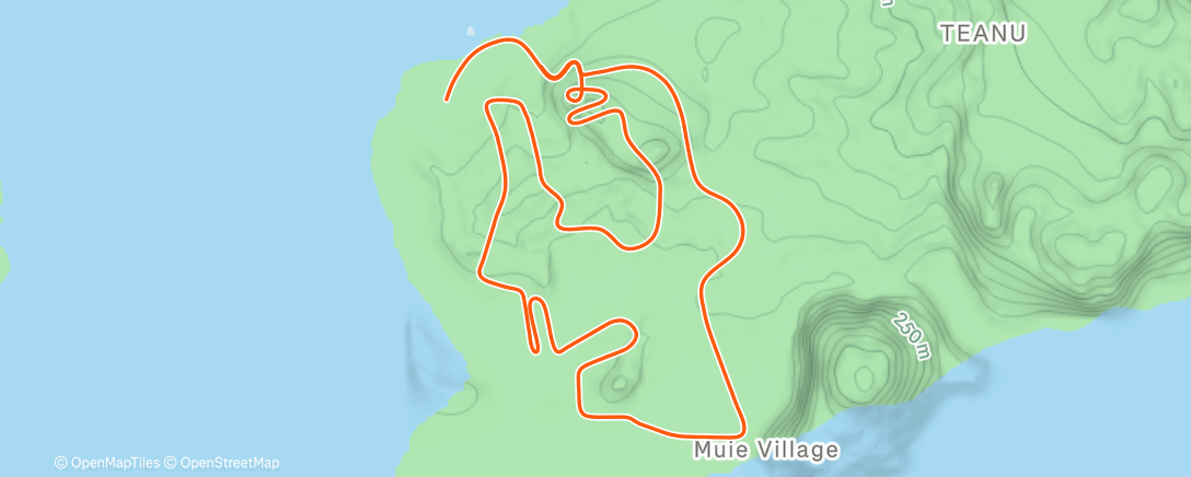 Map of the activity, Zwift - CBA Workout on Figure 8 in Watopia