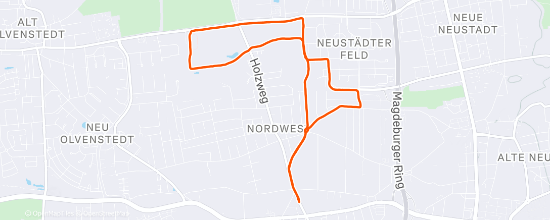 Карта физической активности (Evening Run)