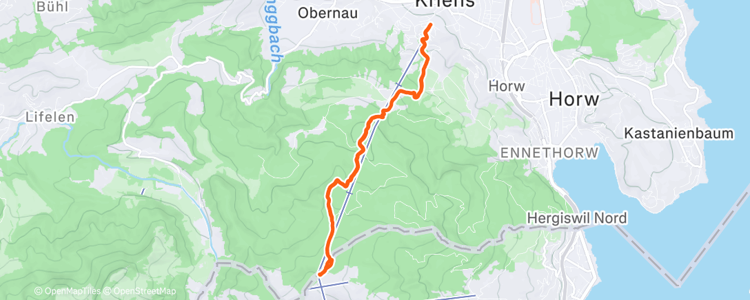 Map of the activity, Morning Trail Run