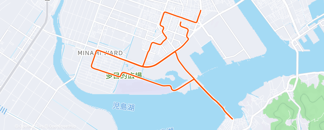 Map of the activity, 午後のランニング