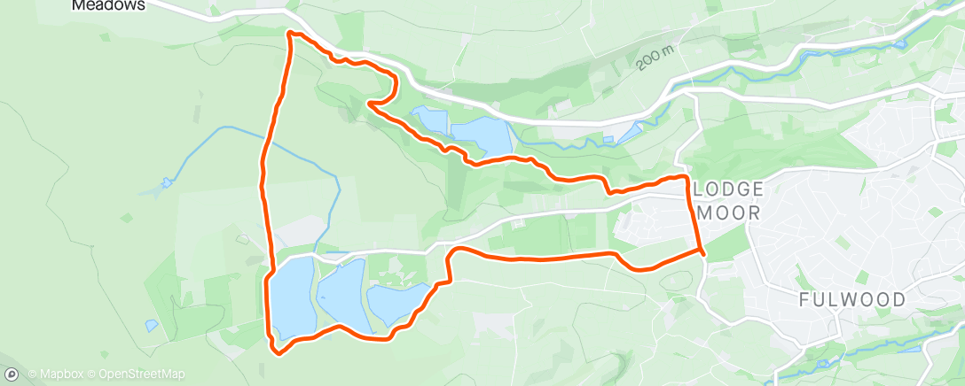 Mapa de la actividad, Morning Trail Run