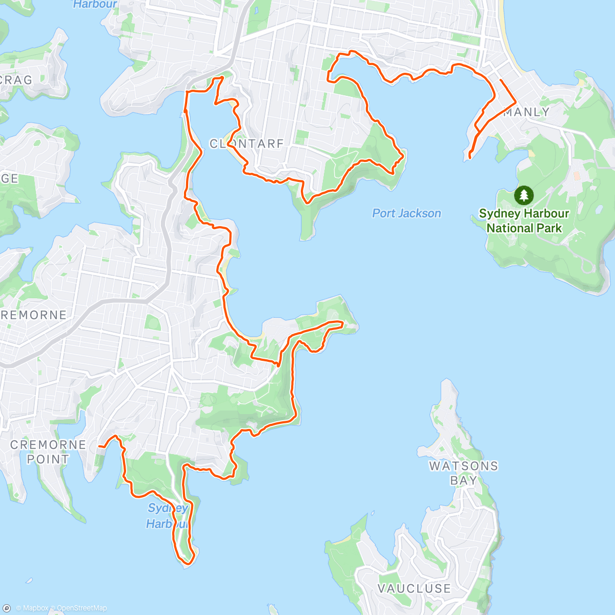 Map of the activity, Morning Trail Run