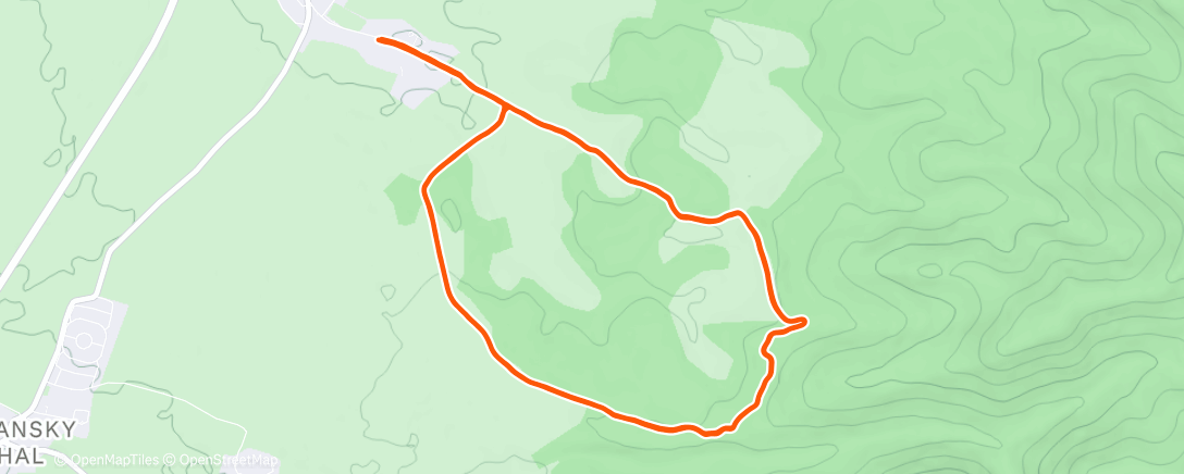 Карта физической активности (iron .run® LK/RK)