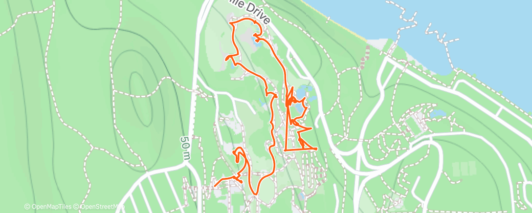 Map of the activity, Afternoon Walk