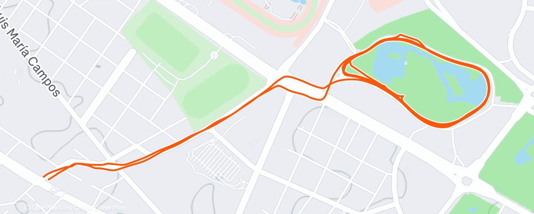 Карта физической активности (Утренний забег)