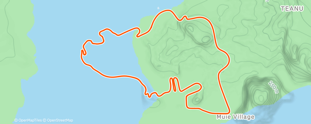 Map of the activity, Zwift - 30/30sec Anaerobic #4 on Volcano Flat in Watopia