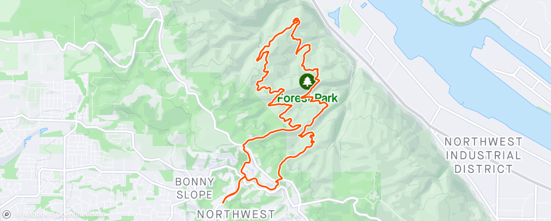 Map of the activity, 🌲☀️🌲