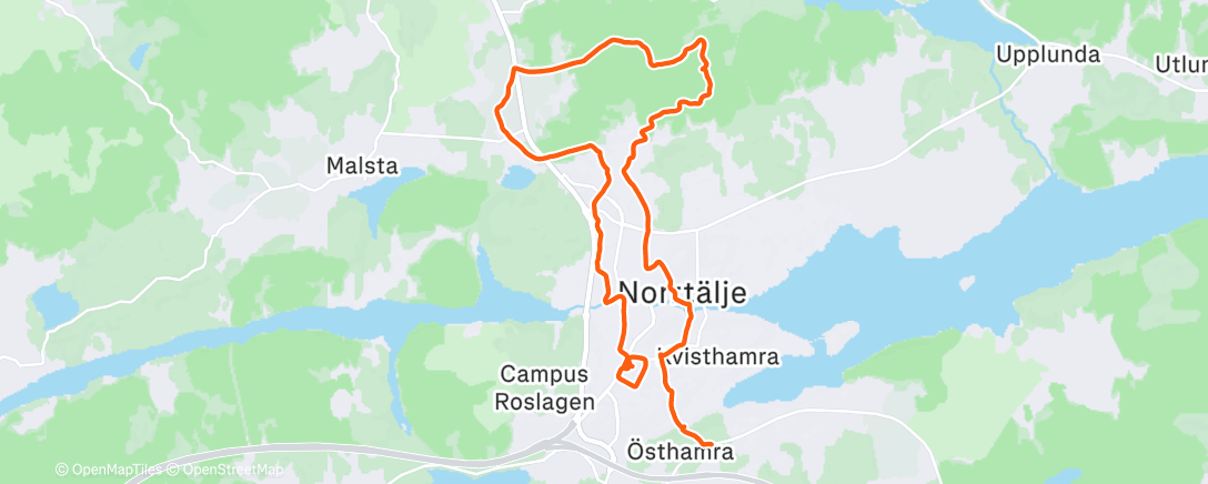 Карта физической активности (Morning Run)