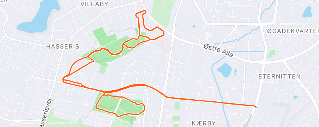 Map of the activity, Trail Run ftw