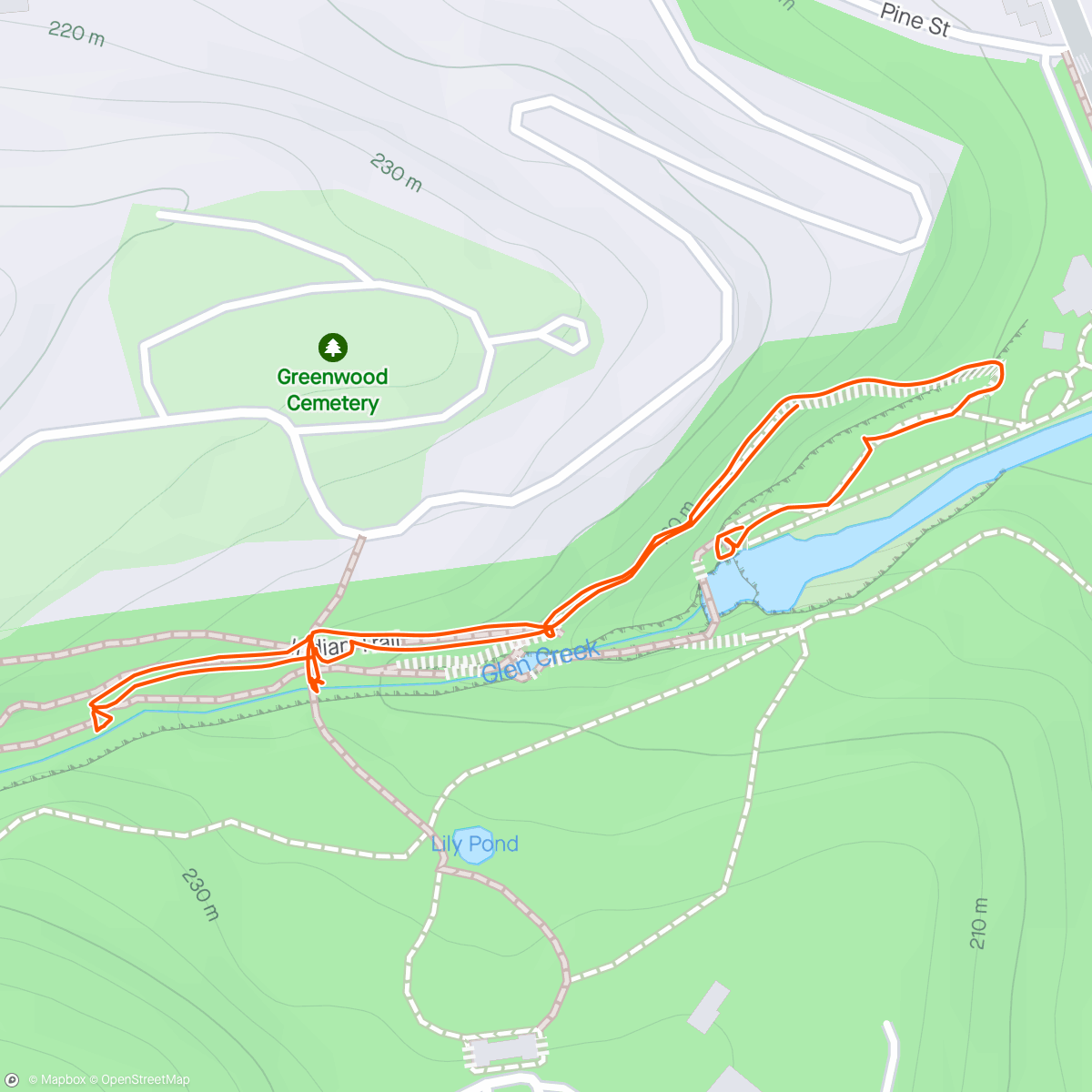 Map of the activity, Watkins Glen waterfalls picnic