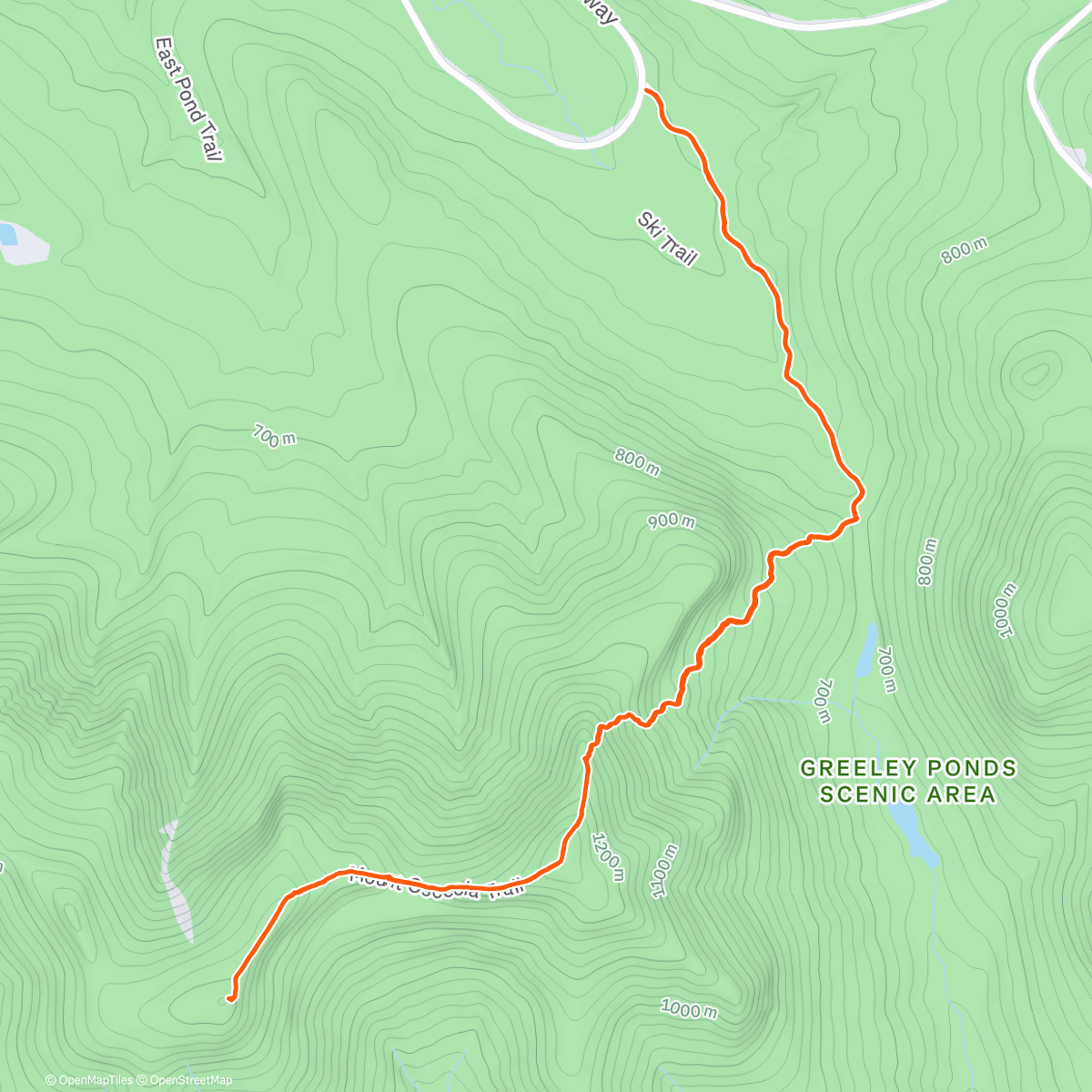 Map of the activity, Osceola’s with Julie ❤️