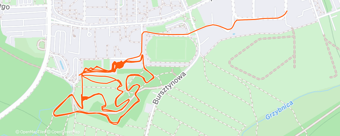Map of the activity, Morning Ride