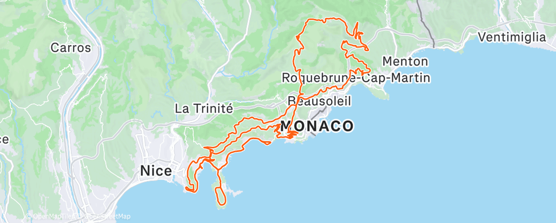 Map of the activity, Deux fauves