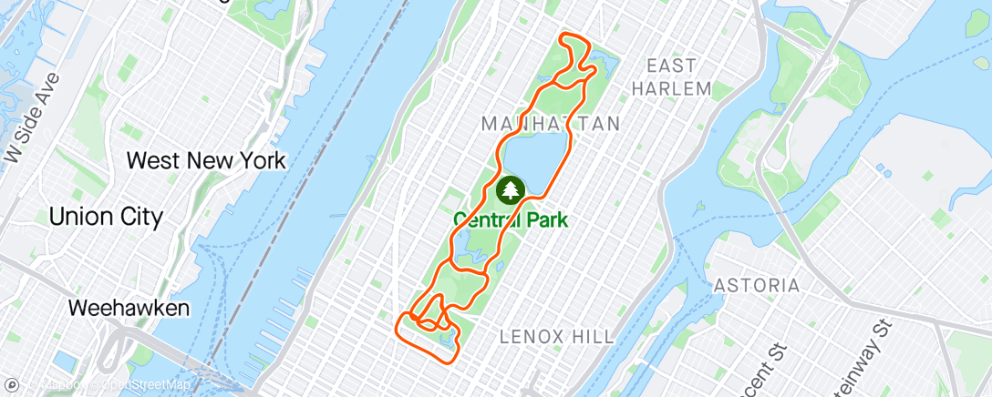 Map of the activity, Zwift - Hairpin Wizard in New York