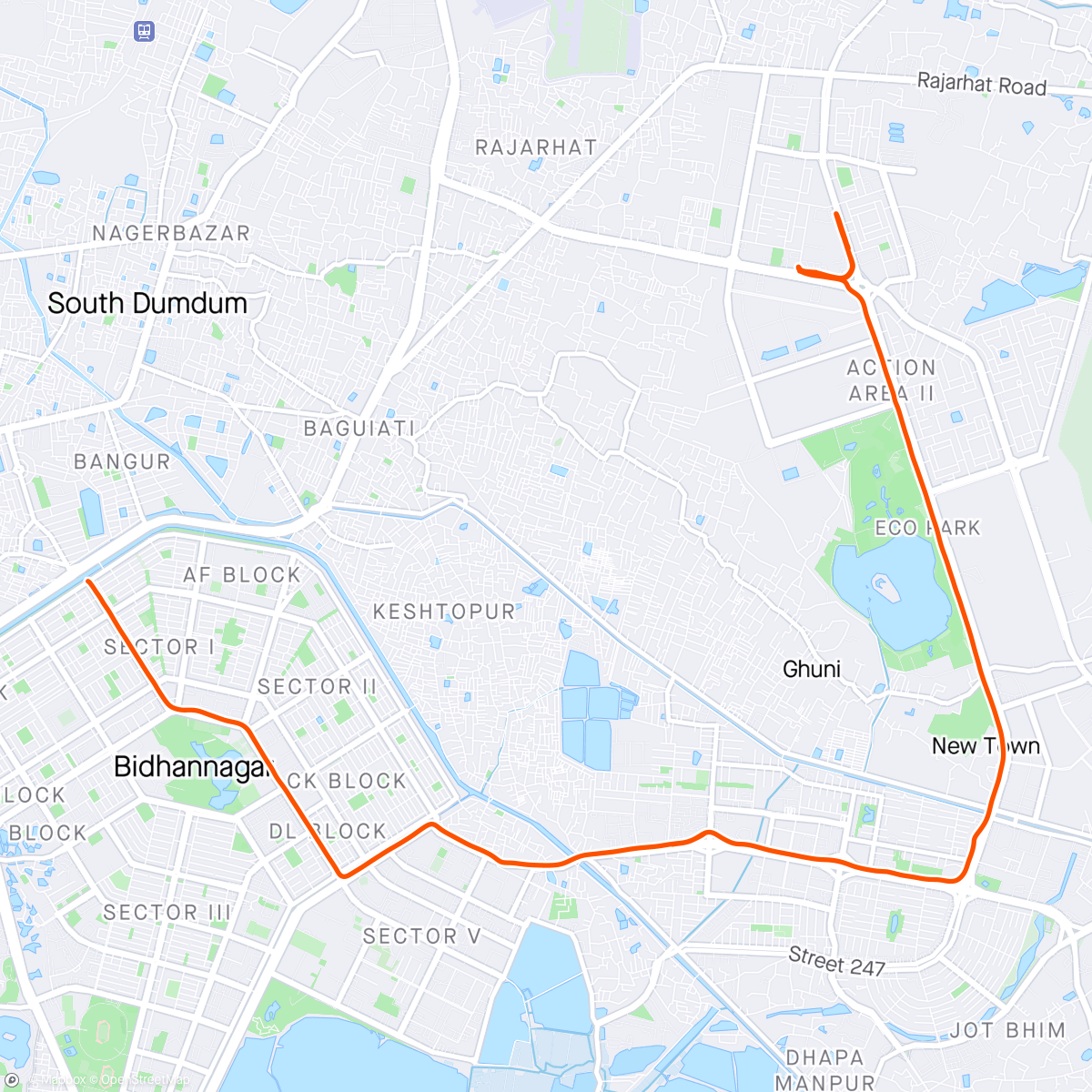 Map of the activity, Aerobic pace