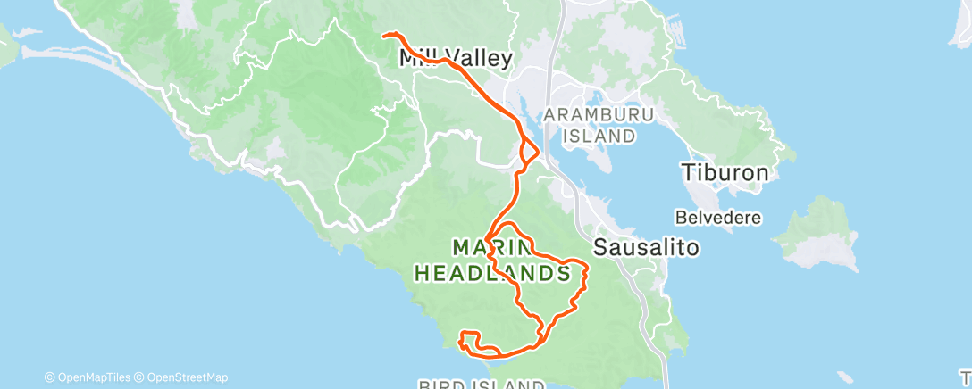 Map of the activity, Morning Ride