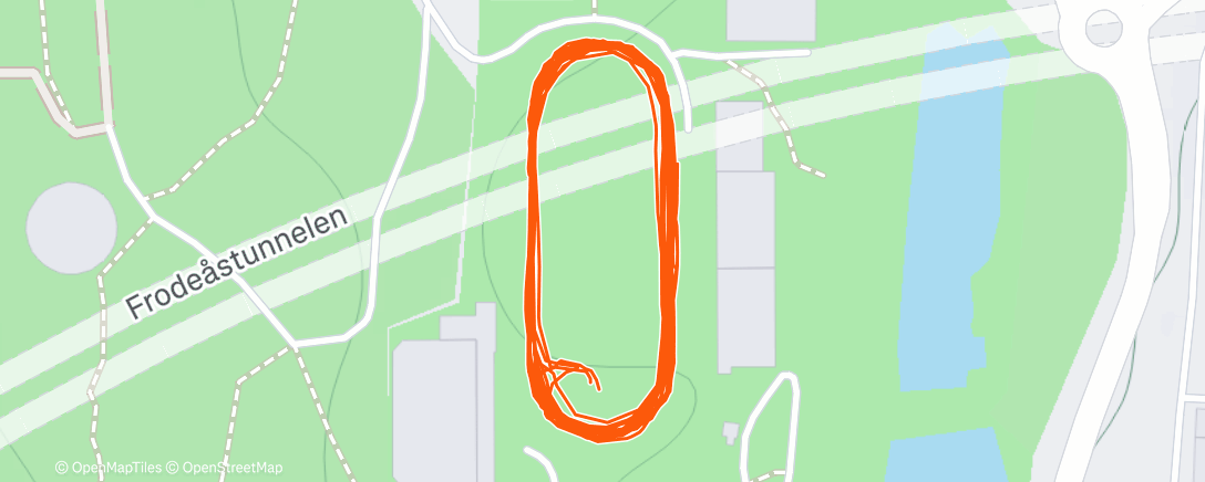 Карта физической активности (Skøyter med barna. 😁)