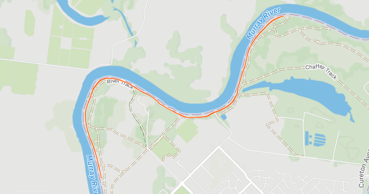 Lunch Run | Strava