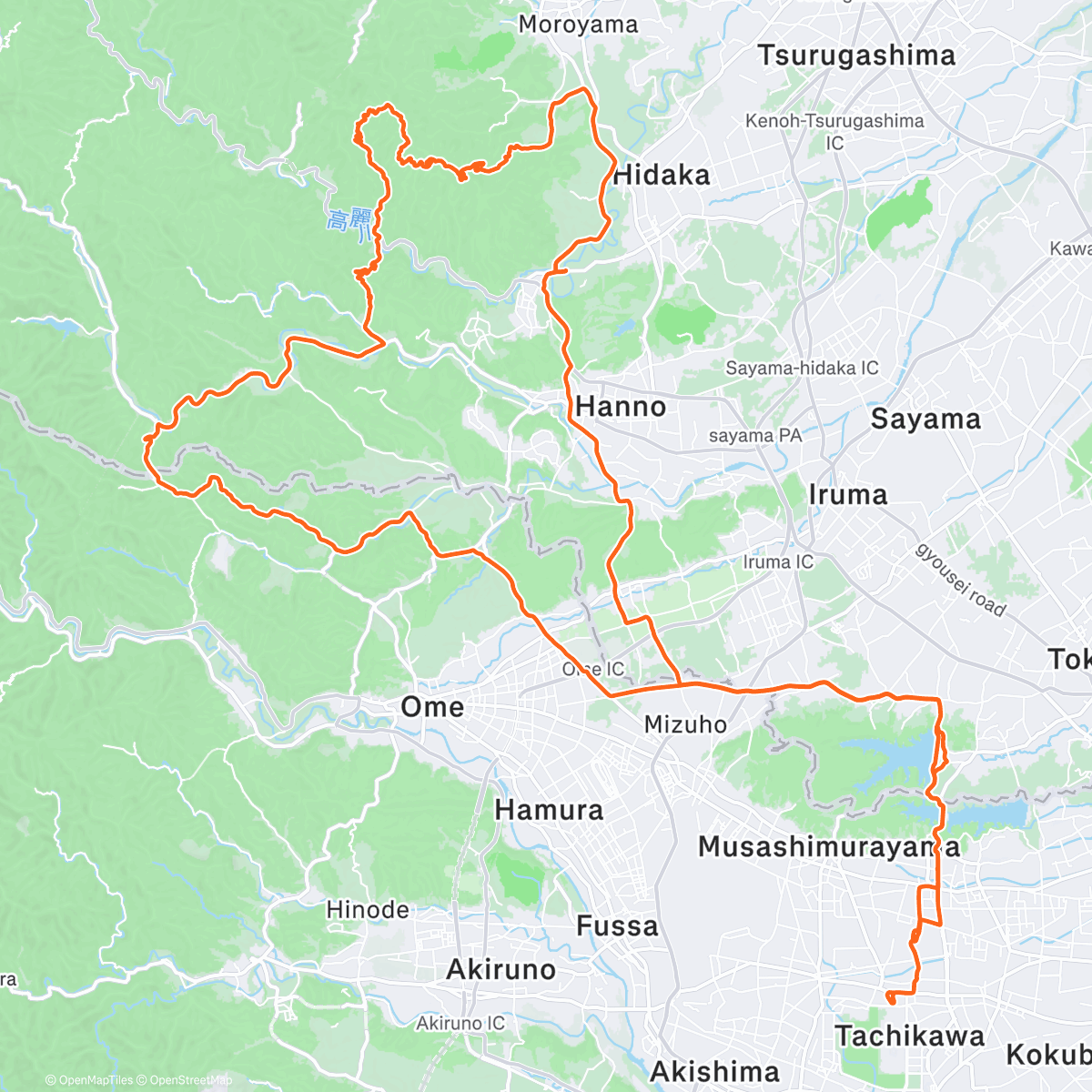 Карта физической активности (とんちぼ)