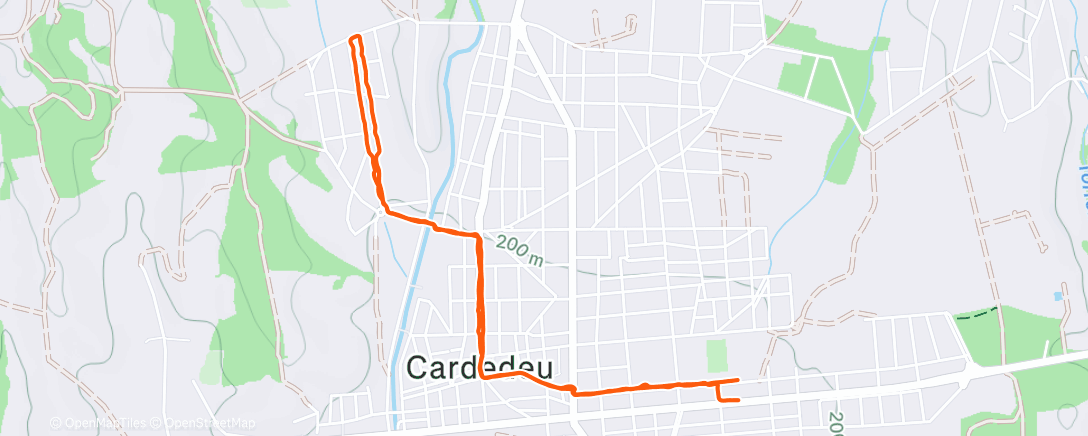 Карта физической активности (Paseo)