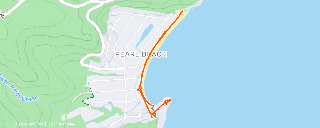 Карта физической активности (Morning Run)