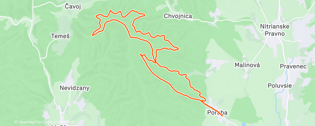 Карта физической активности (Morning Trail Run)