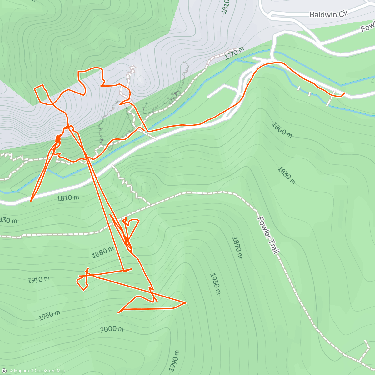 Map of the activity, Anthill Direct