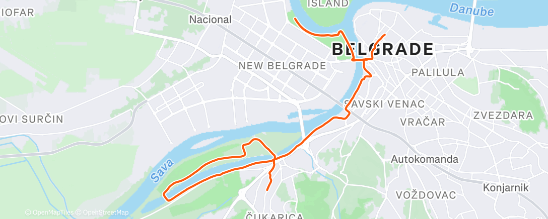 Карта физической активности (Morning Run)