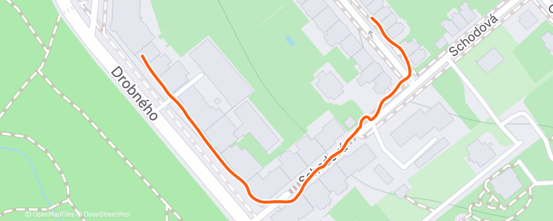 Карта физической активности (Evening Walk)