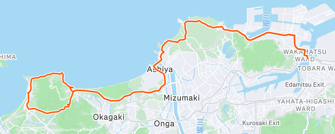 Map of the activity, VCFM