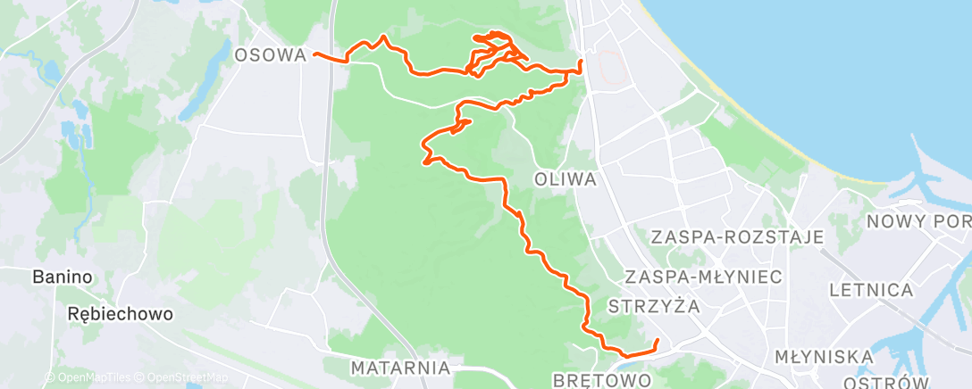 Карта физической активности (Gittttt)