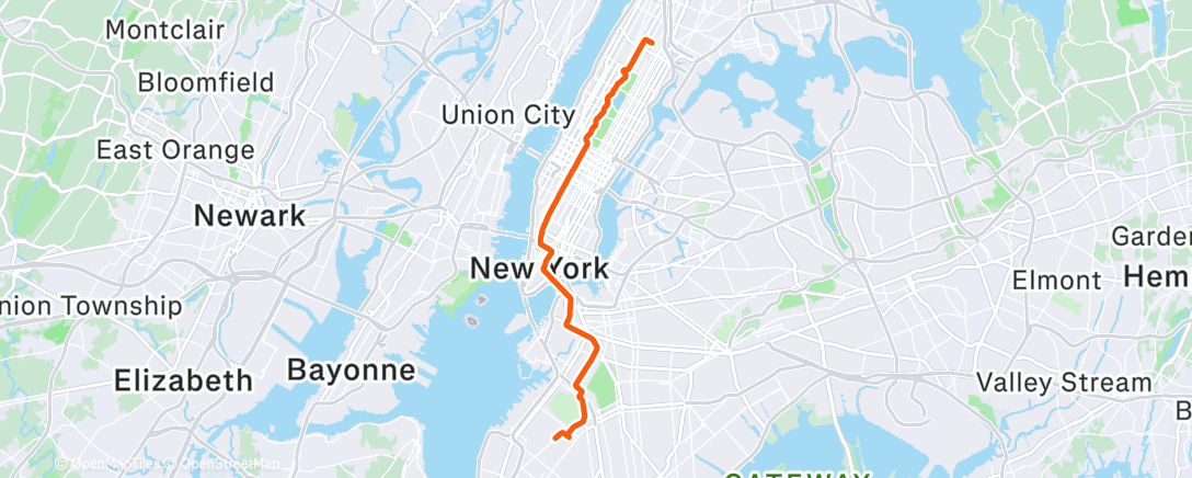 Map of the activity, A tree!