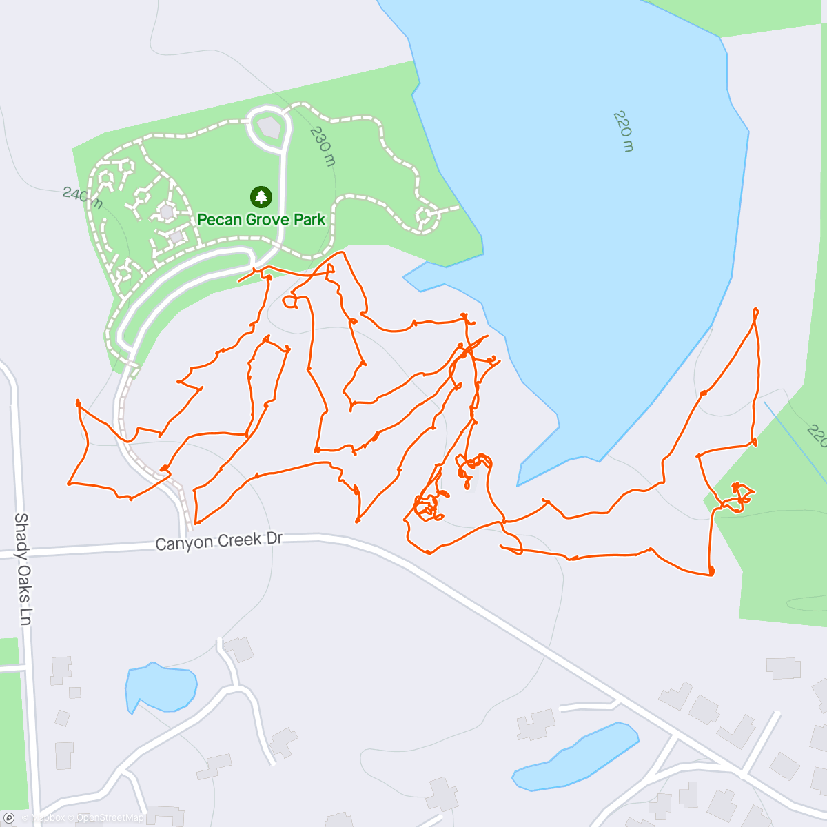 Map of the activity, The Day of Disc