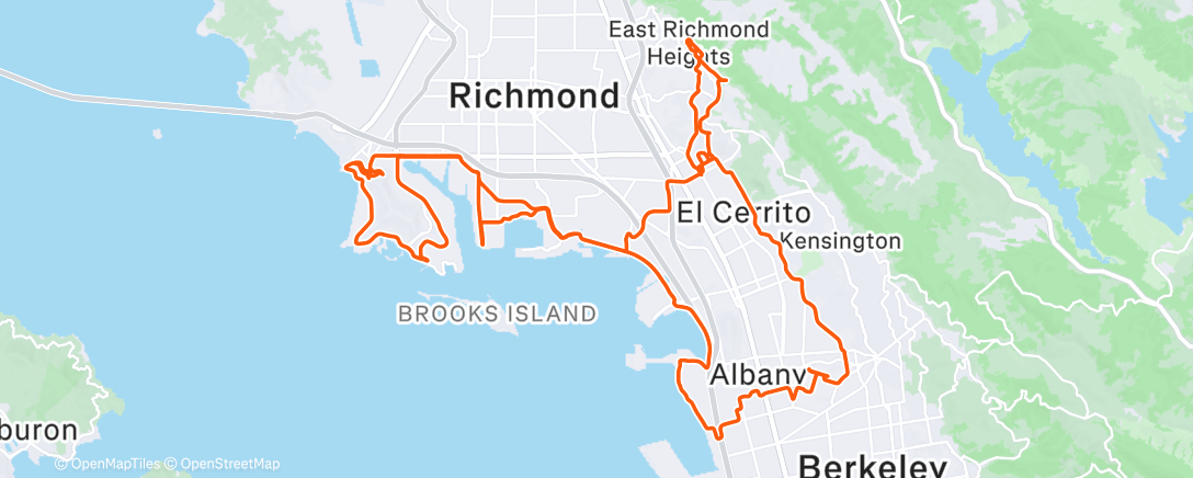 Карта физической активности (Mog in the sun with Brian)